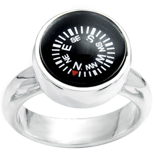 LeeAnn Herreid compass ring