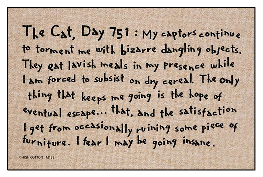The Cat: Day 751 doormat