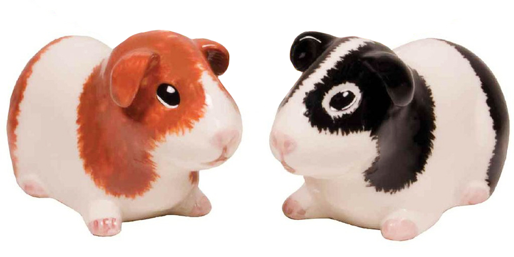 guinea pig salt and pepper shakers